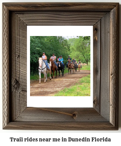 trail rides near me in Dunedin, Florida